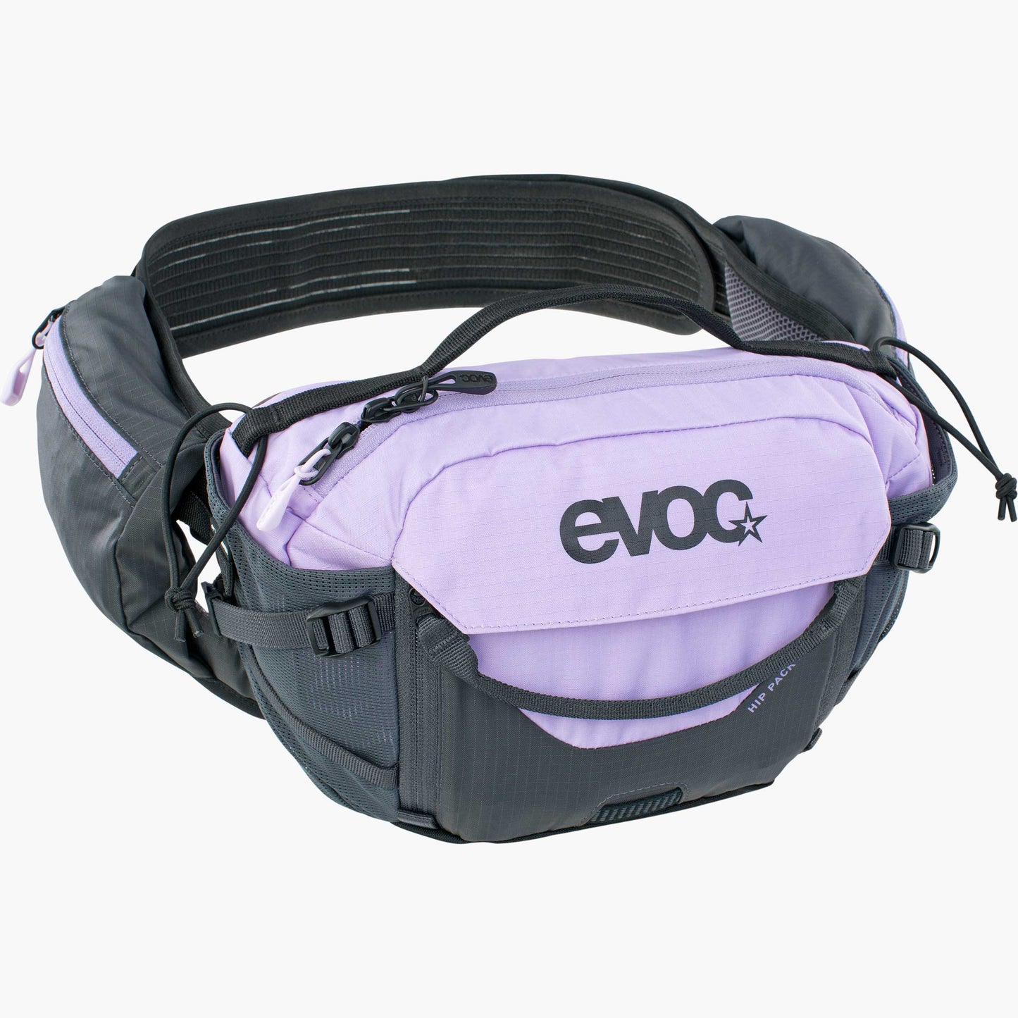 evhippro3lmulti.jpg