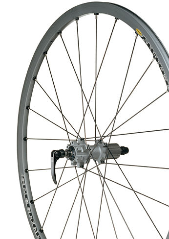 m40706.jpg