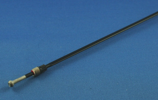 m99538401.jpg
