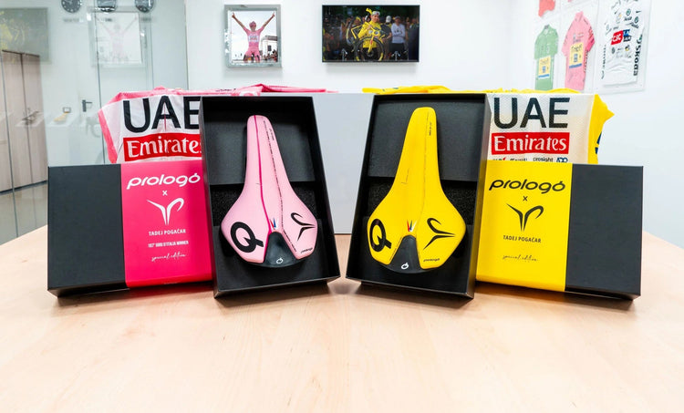 PROLOGO Saddles