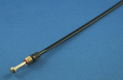 m10844601.jpg