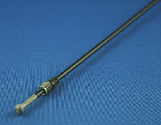 m40729.jpg