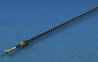 m99538401.jpg