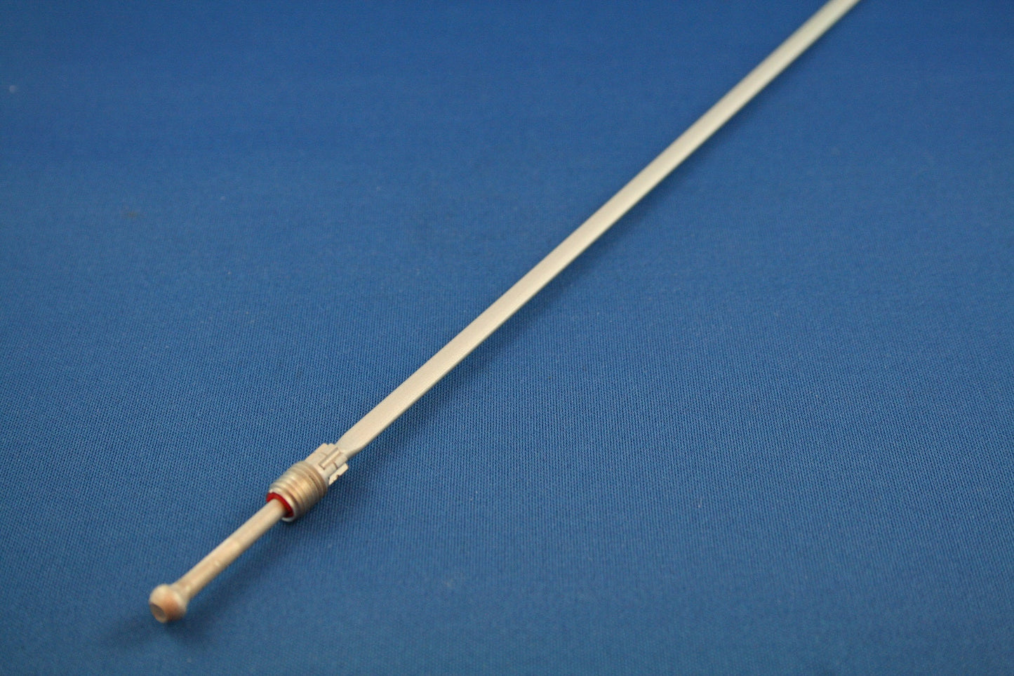 m99539401.jpg