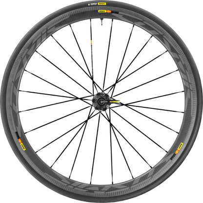 r17551.jpg