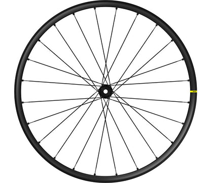 xmlr3779200.jpg
